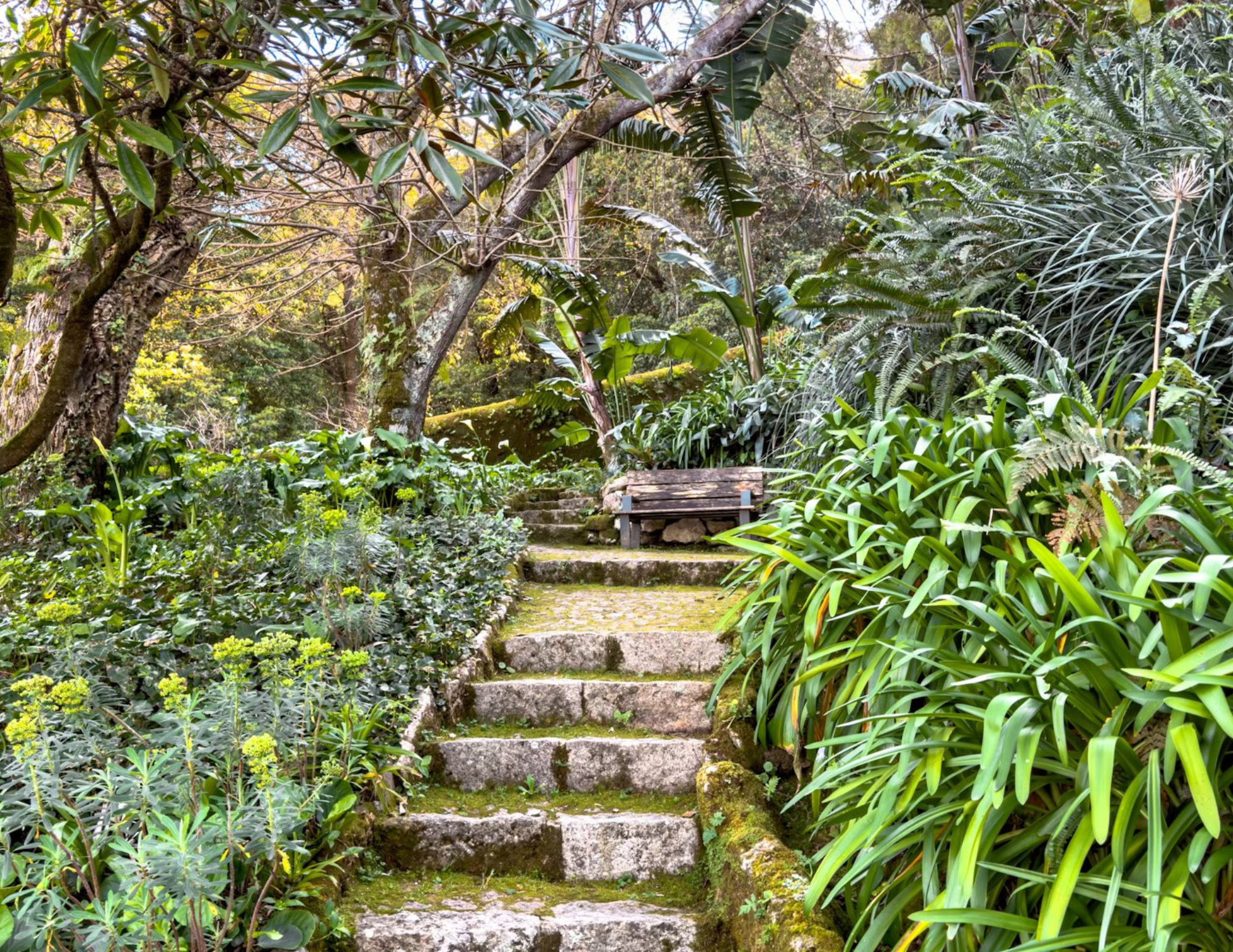 How to Get from Lisbon to Sintra (6).png